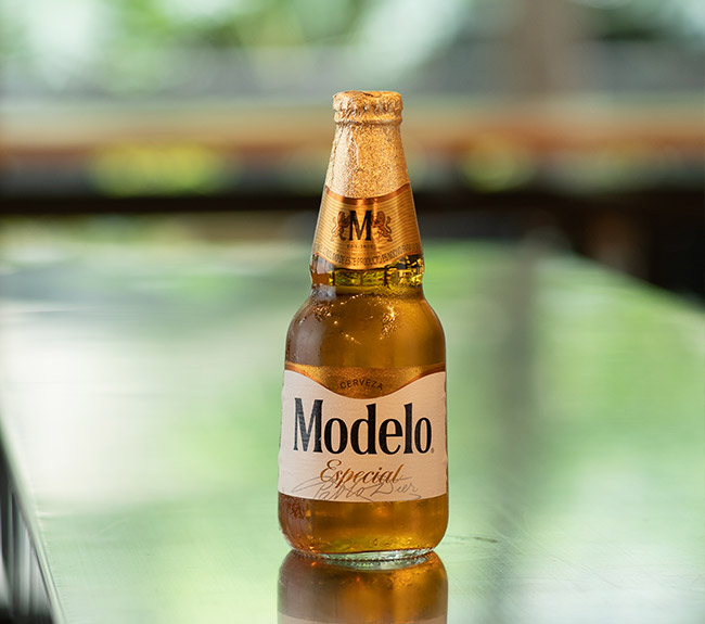 Modelo Especial Beer