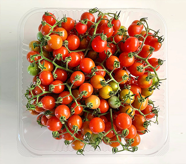 Cherry Tomatoes