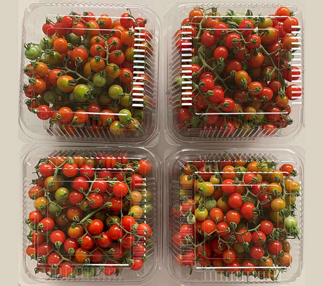 Cherry Tomatoes