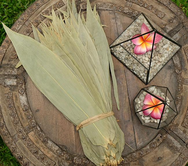 Bamboo Leaves